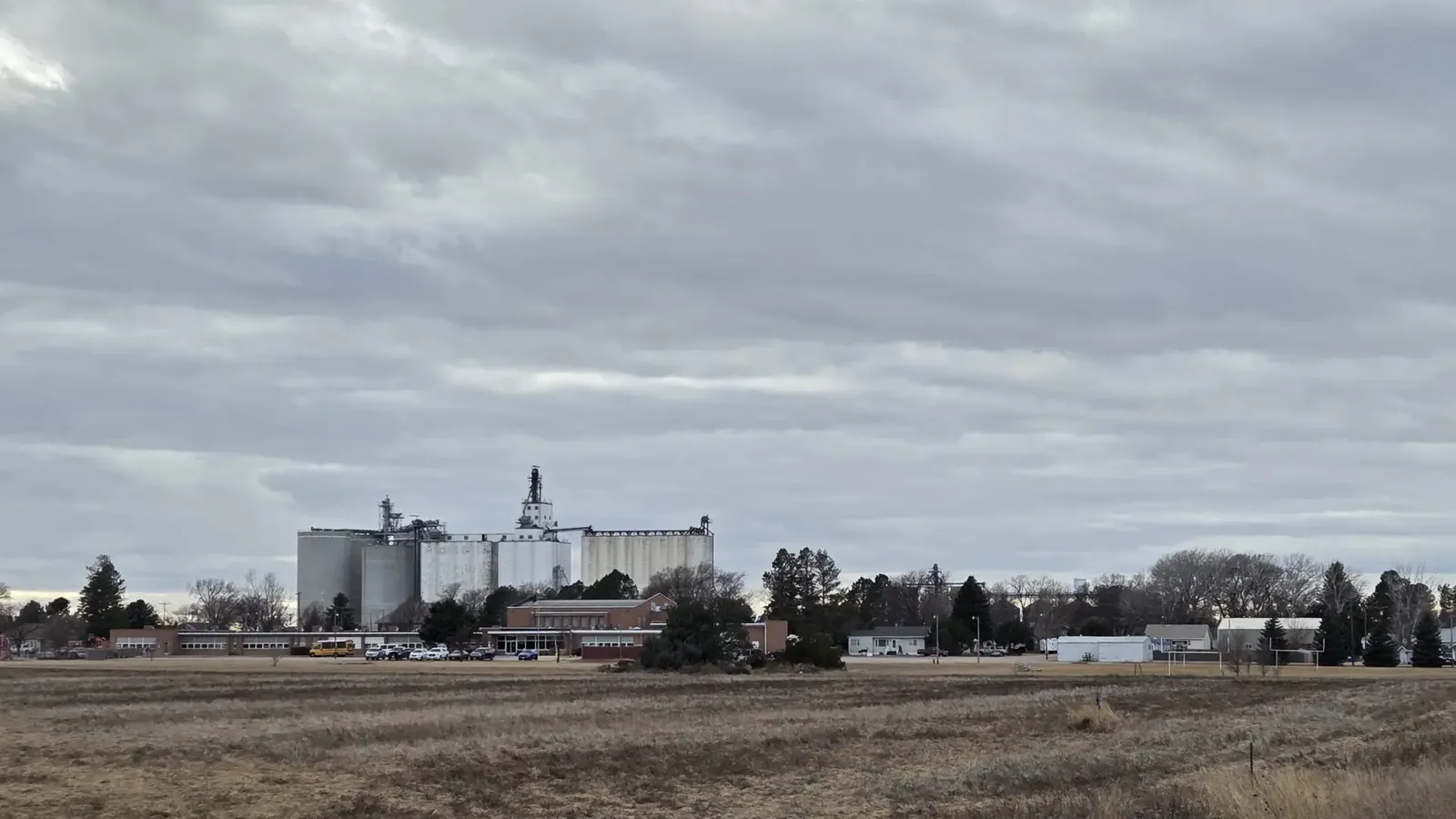 Grain elevators and a small town beyond an open field under cloudy skies